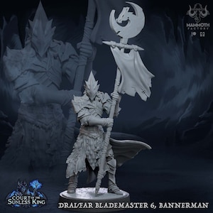 Dark Elf Fighter Ranger Bannerman PC / NPC Unpainted | 28mm,32mm,54mm,75mm,100mm Scale | Resin Dungeons and Dragons D&D 5e  | Pathfinder |