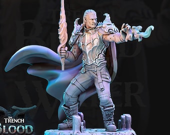 Miniatura de Hexblade Warlock / Eldritch Knight Fighter / DnD Pathfinder Resina SIN PINTAR