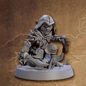 May include: A gray painted miniature figurine of a hooded elf with pointed ears, holding a dagger in one hand and a shield in the other. The elf is wearing a cloak and leather armor. The figurine is standing on a round base.