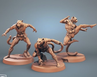 Tabaxi Mönche (3 verschiedene Modelle) | 28mm, 32mm,54mm,75mm, 100mm Skalen | Resin Miniatur | Dungeons und Drachen | Pfadfinder |