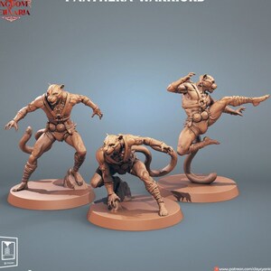 Tabaxi Monks (3 verschiedene Modelle) | 5 Größen/Skalen | Resin Miniatur | Dungeons and Dragons | Pfadfinder |