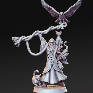 Human Wizard with Familiars and Staff  | 28mm Scale | 32mm Heroic | Minis - D&D,  Dungeons and Dragons- Figurine