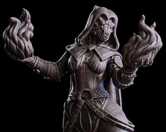 Stregonessa, Maga, Warlock dragonide femmina / 3 taglie / Figura in resina in scala / DnD 5e / Pathfinder