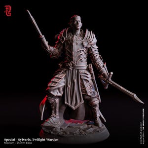 May include: A detailed miniature figure of a warrior in dark armor, holding two swords. The figure is standing on a rocky base. The miniature is painted in a dark brown color with metallic accents. The figure is labeled "Sylvaris, Twilight Warden".