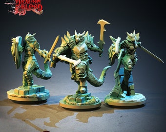 Dragonborn Fighters Knights Male and Female options| 3 Sizes /Scale Resin Miniature | DnD|Pathfinder