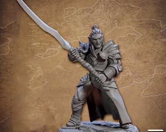 Elf Paladin Fighter Tweehandig zwaard | 5 maten / schaal harsminiatuur / D&D