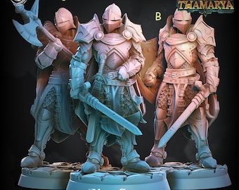 Paladins Fighters in Full Plate mail D&D 5e Miniatures | Dungeons n Dragons|28mm, 32mm, 54mm,75mm,100mm | Pathfinder | Unpainted | CastnPlay