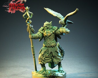 Dragonborn Druid, Wizard | 28mm, 32mm, 54mm,75mm, 100mm Scale Resin Miniature | Dungeons and Dragons | Pathfinder |