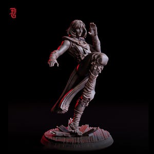 Female Human Monk PC NPC Unpainted Miniature | 28mm, 32mm,54mm, 75mm, 100mm Scale Resin Mini | Dungeons and Dragons D&D 5e | Flesh of Gods
