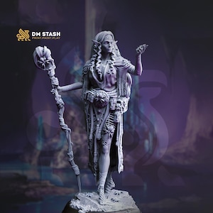 Dunkelelf Elfin Kleriker, Zauberer, Magier PC/ NPC Miniatur | 28mm, 32mm,54mm,75mm, 100mm Skalen | Dungeons and Dragons Pathfinder | DM Versteck