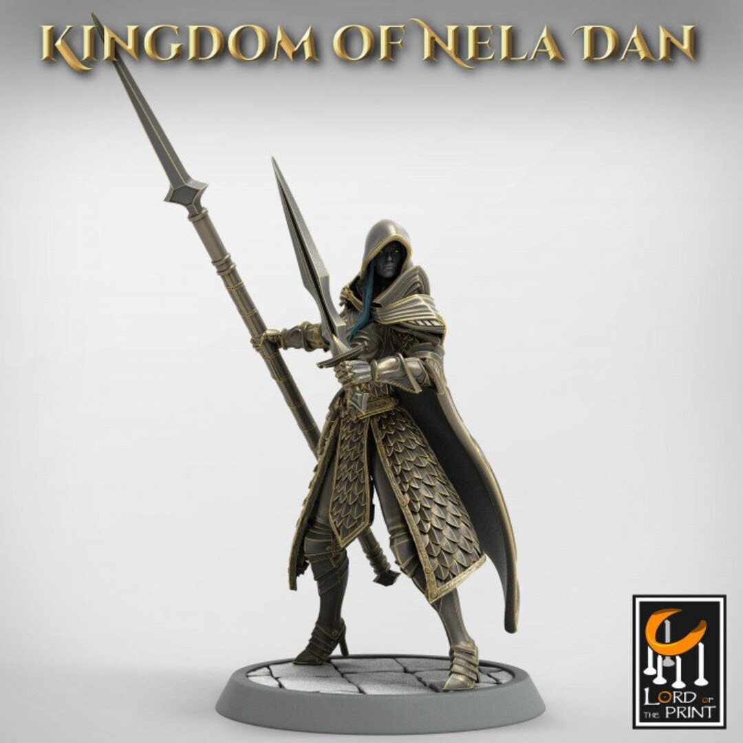 High Elf Ranger Fighter Spear and Sword , Moon Eladrin Unpainted | 4 ...