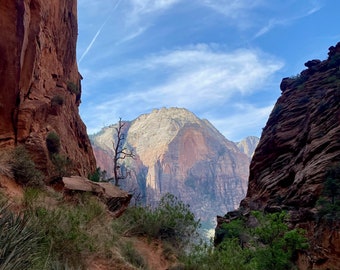 Zion National Park Photography Print - Wall Art Framed Fine Art Photography Home Wall Decor