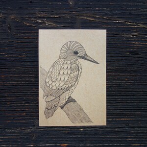 May include: A black and white line drawing of a bird with a long beak perched on a branch. The bird's feathers are detailed with intricate patterns.