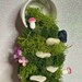 Handmade Floating Teacup Moss Garden - Etsy