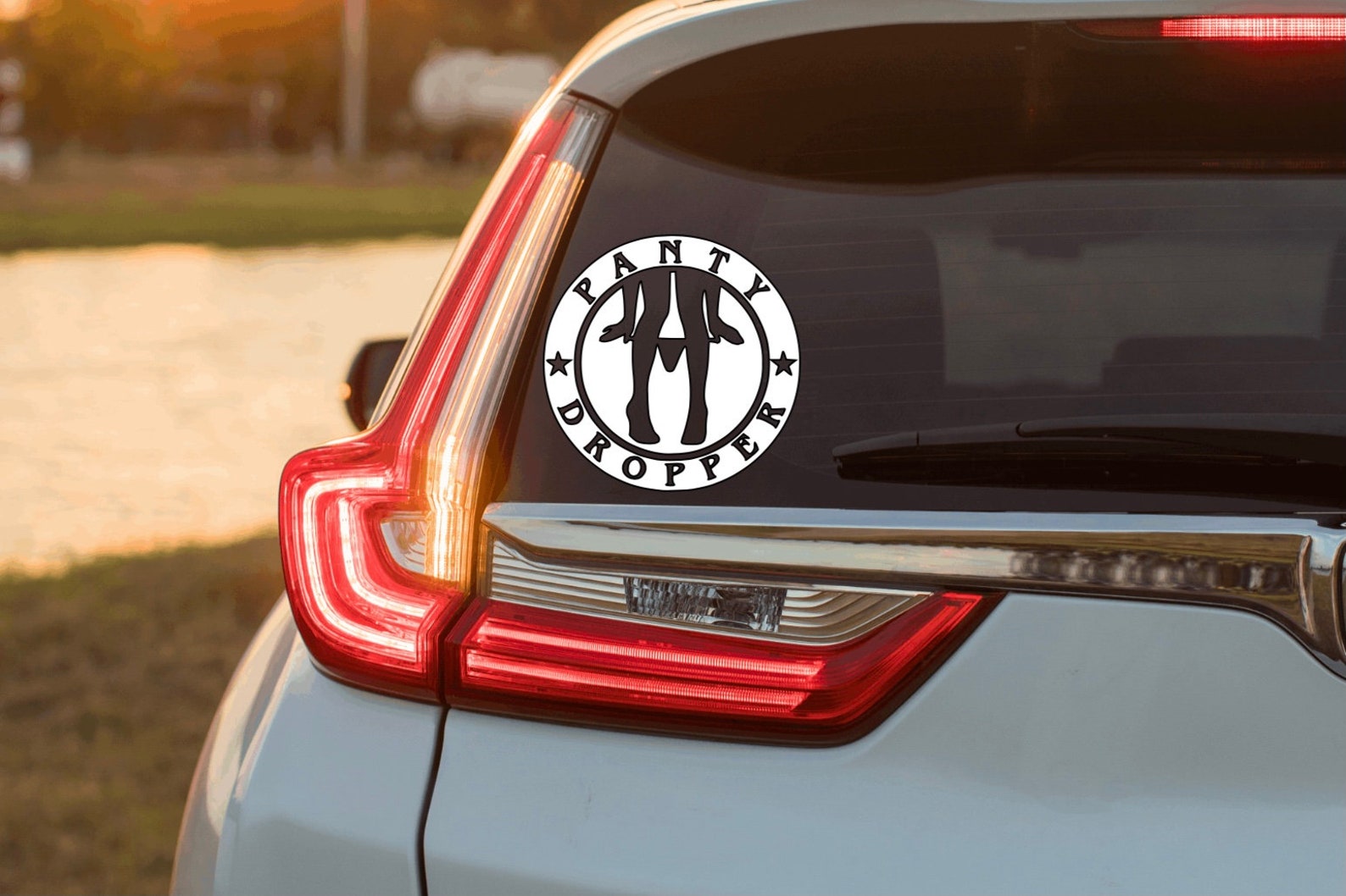 Panty Dropper Decal Truck Decal Funny Sticker Decal for Etsy