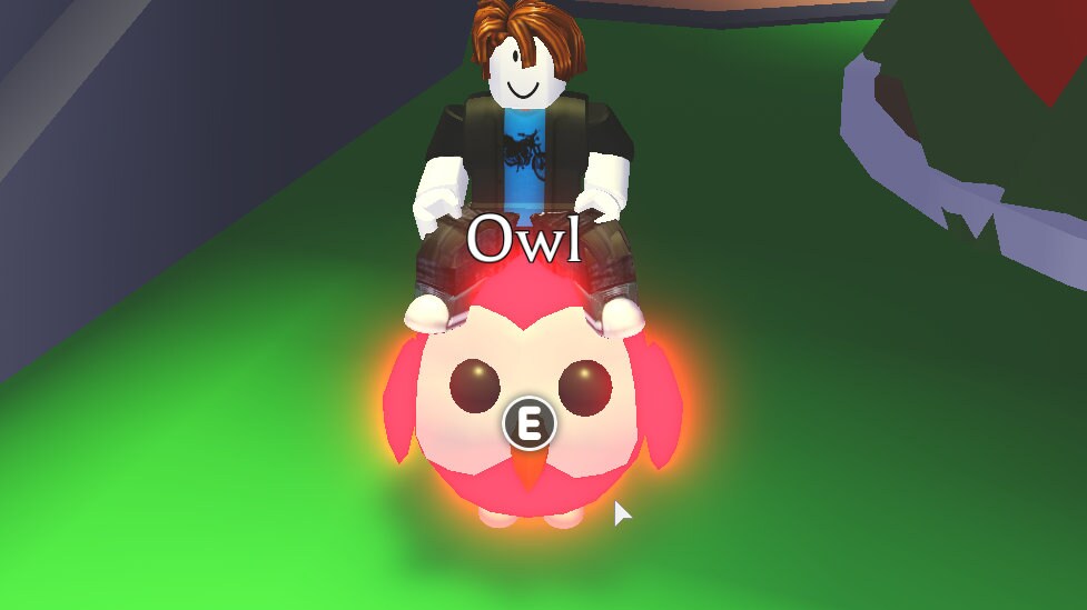 Roblox Adoptez-moi Mega Neon Owl | Etsy