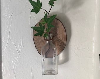 Vintage Glass Bottle Propagation Wall Hanging