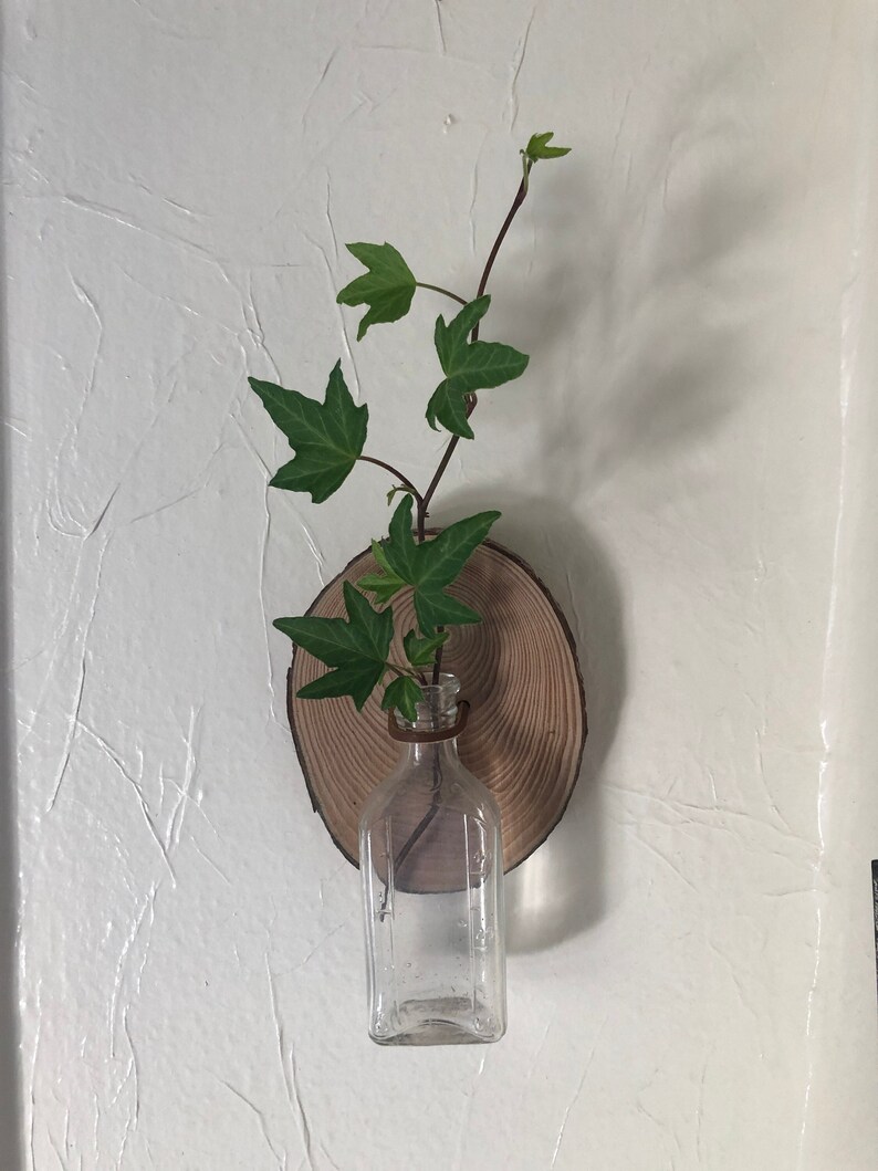 Vintage Glass Bottle Propagation Wall Hanging Etsy