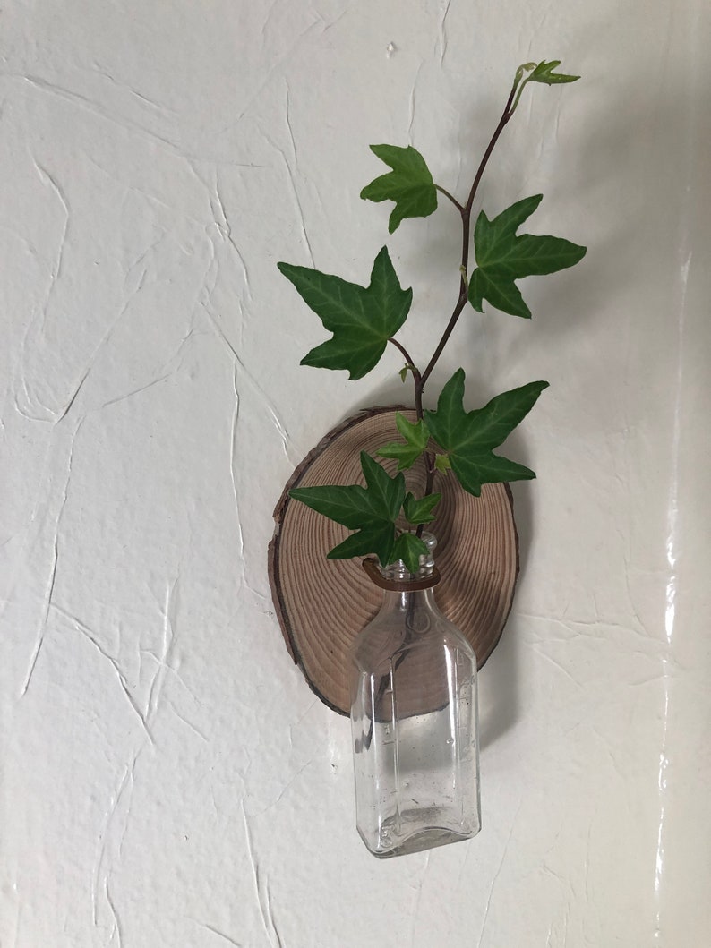 Vintage Glass Bottle Propagation Wall Hanging Etsy