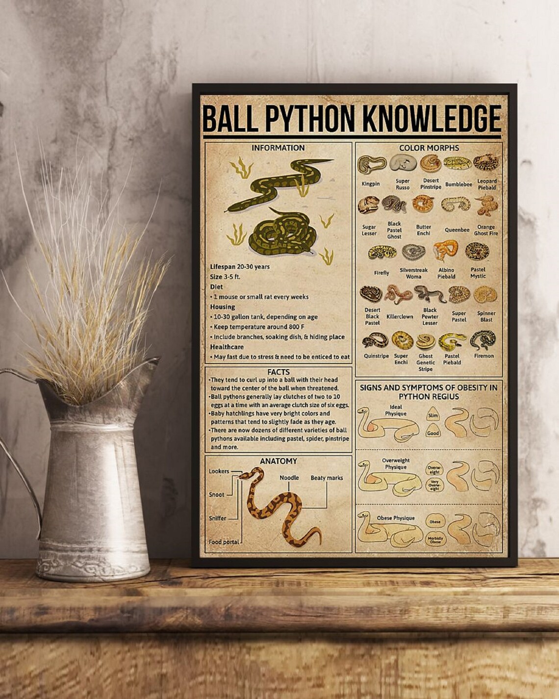 Ball Python Knowledge Vertical Poster Home Decor Poster Gifts | Etsy