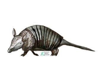 Stampa acquerello Armadillo, stampa artistica digitale disegnata a mano (idealmente 8x10")