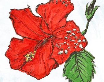Hibiscus Flower, Art Print, alcohol markers and ink, various sizes