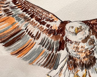 Original Eagle Watercolor Painting, Pen Art (9x12 inch)