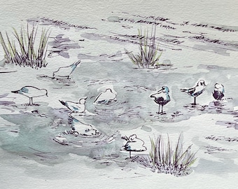 Seagulls in a Puddle; Nature landscapes, hand-drawn (digital, 8x10”)
