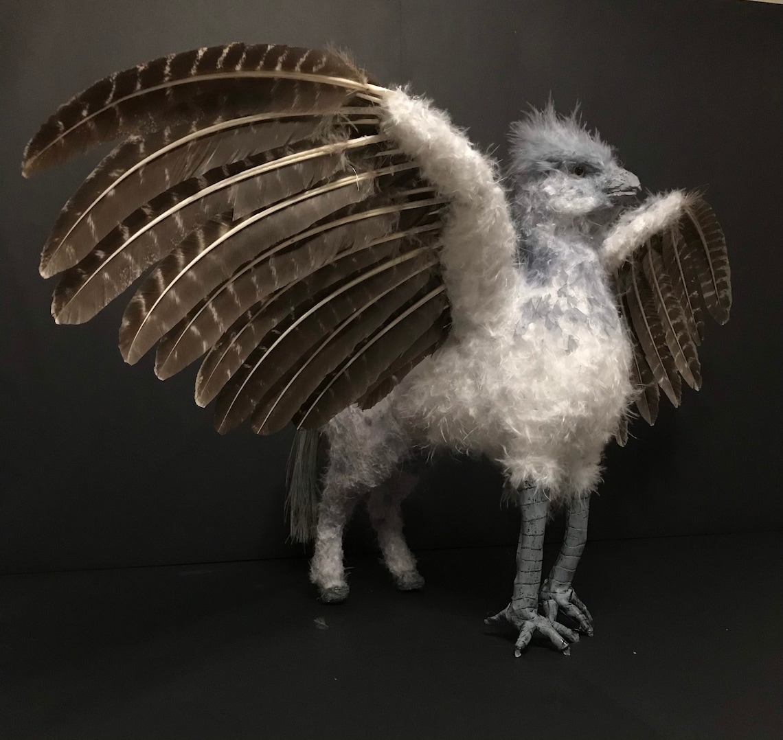 Baby Buckbeak the Hippogriff Harry Potter item real feather | Etsy