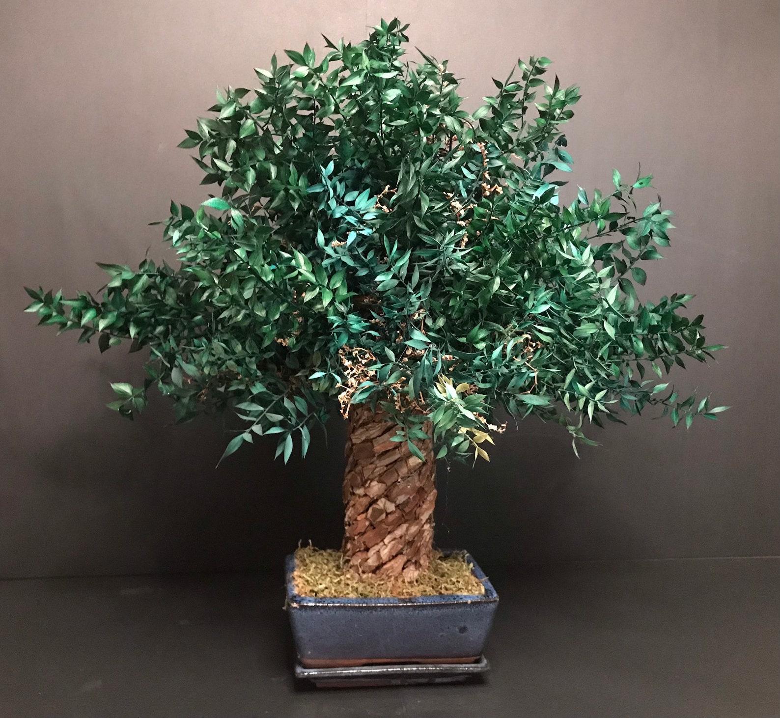 Infinite Bonsai / Preserved natural Bonsai Tree /artificial Etsy