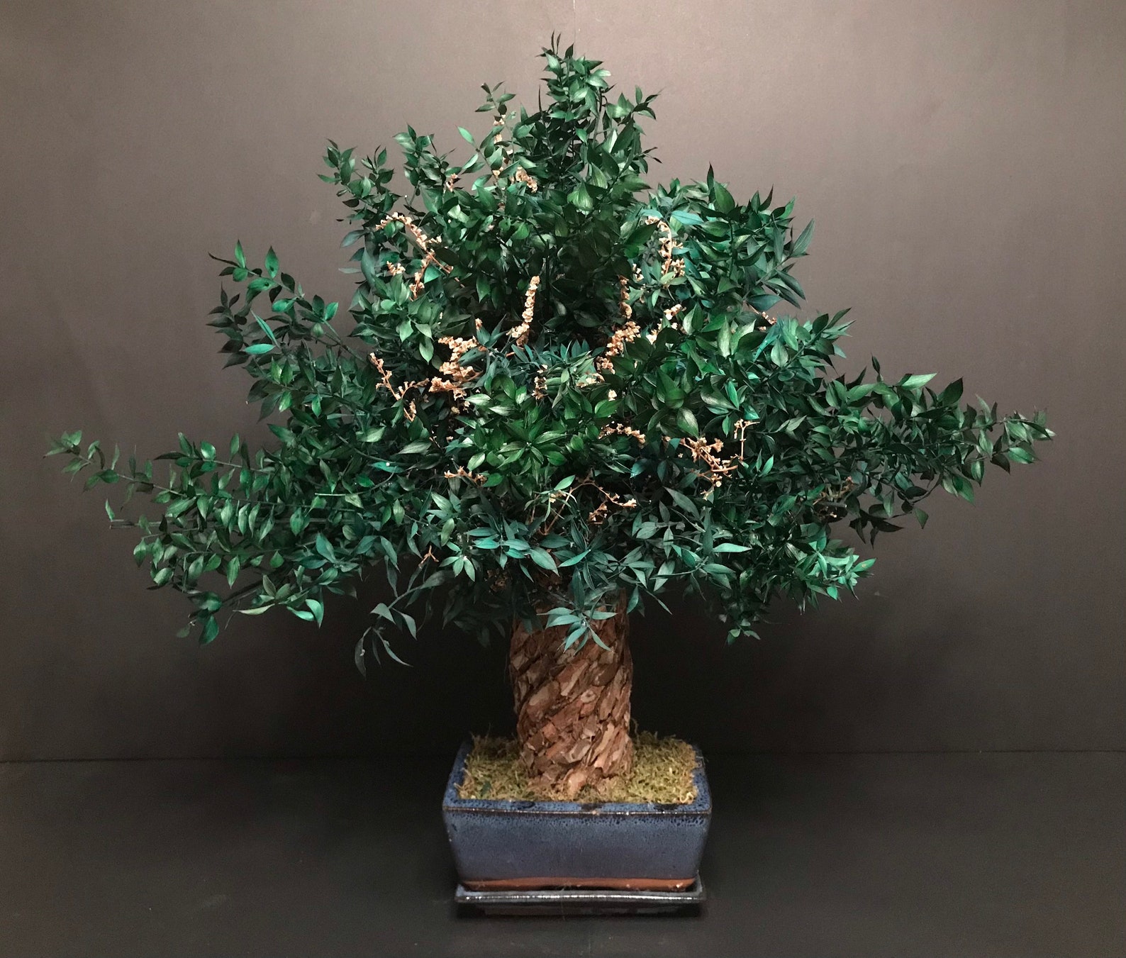 Infinite Bonsai / Preserved natural Bonsai Tree /artificial Etsy