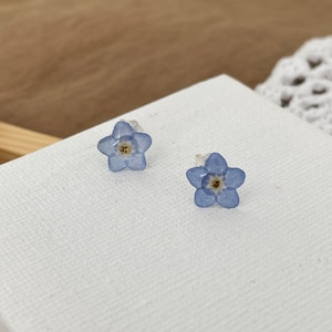 Forget me not earrings, pressed flower stud earrings, Real flower earrings