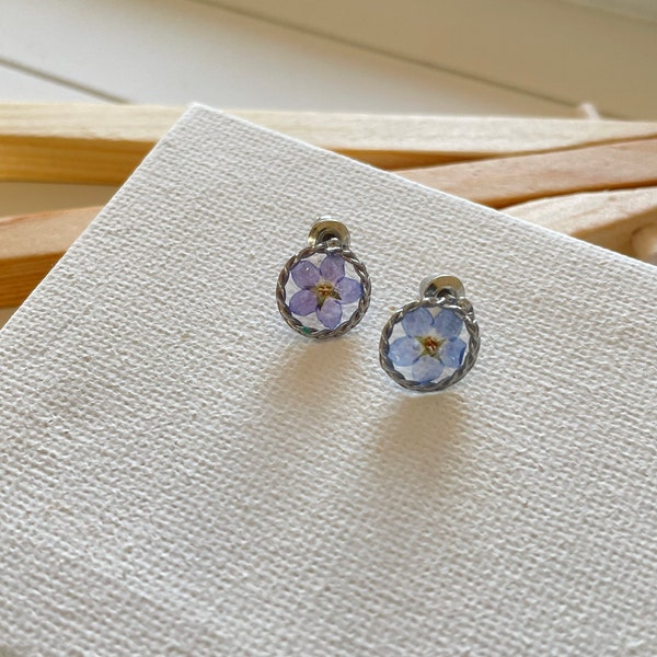Forget me not earrings, Pink blossom studs, pressed flower stud earrings, Real flower earrings