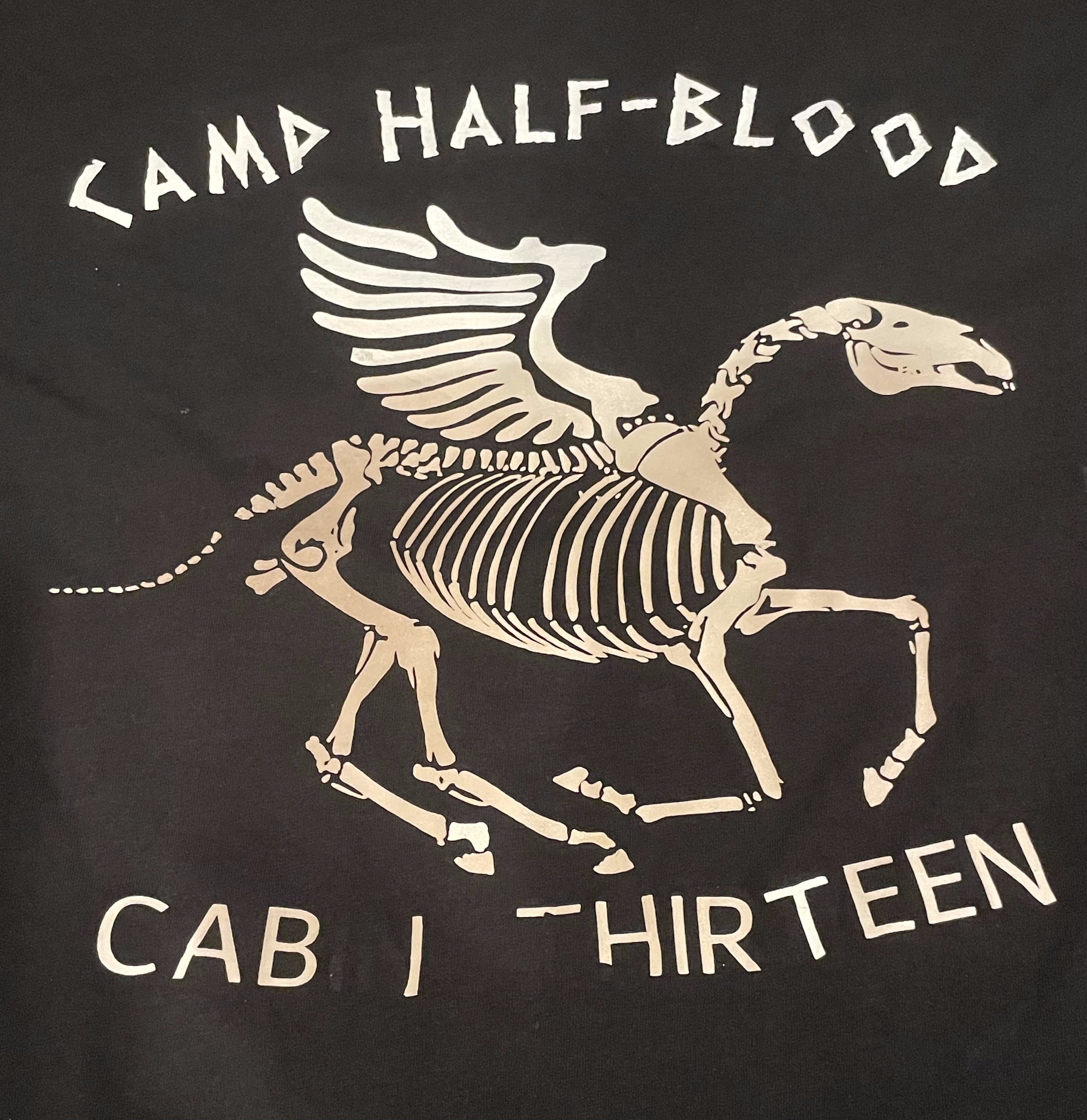 Percy Jackson Camp Half Blood Cabin Thirteen Hades Gift Idea Shirt