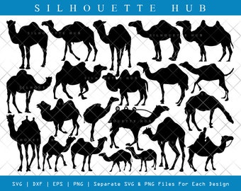 Download Desert Animal Svg Etsy