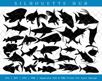 Free Free 335 Shark Bait Svg SVG PNG EPS DXF File