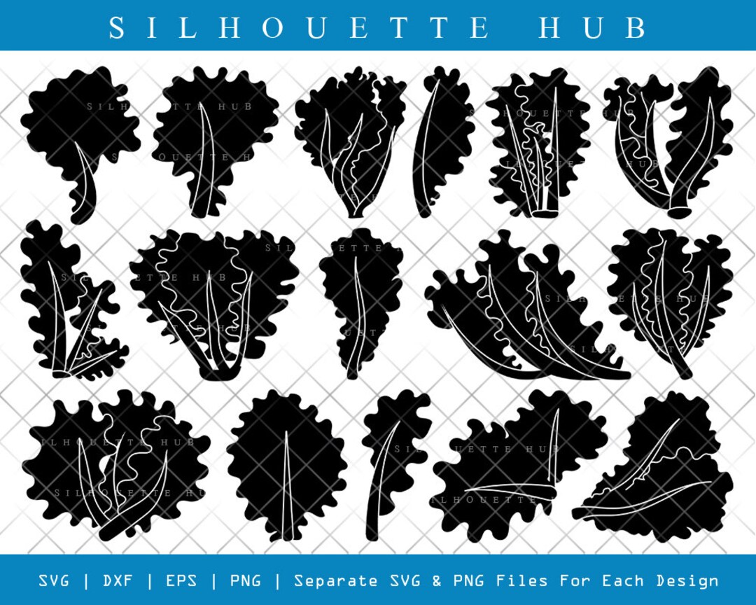 Lettuce Silhouette Lettuce SVG Vegetables Svg Arugula Svg Etsy