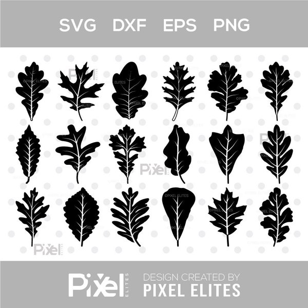 Oak Leaves SVG Cut Files | Oak Leaves Silhouette | Leaf Svg | Foliage Svg | Autumn Svg | Fall Leaves Svg | Oak Leaves Bundle