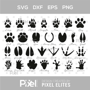 Dierenpootafdruk SVG-bestand knippen bundel | Honden- en kattenpootvormen | Afdrukbaar ontwerp voor silhouet | Sublimatie png, dxf, eps