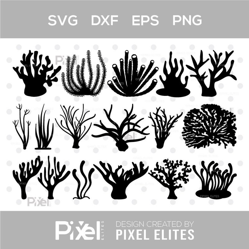 Coral Stencil - Etsy