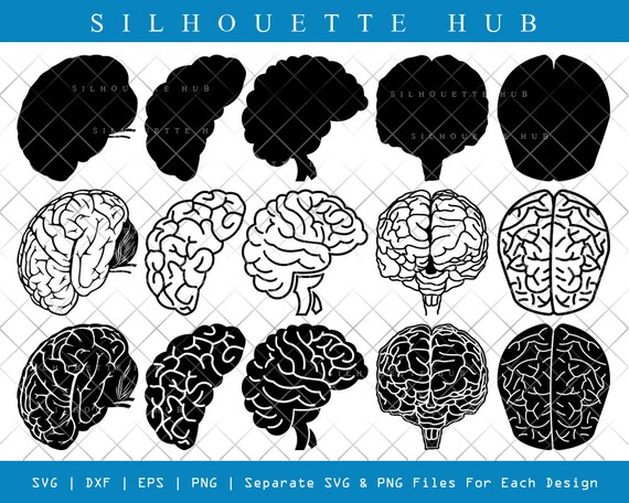 Human Brain SVG Cut Files Human Brain Silhouette Outline - Etsy