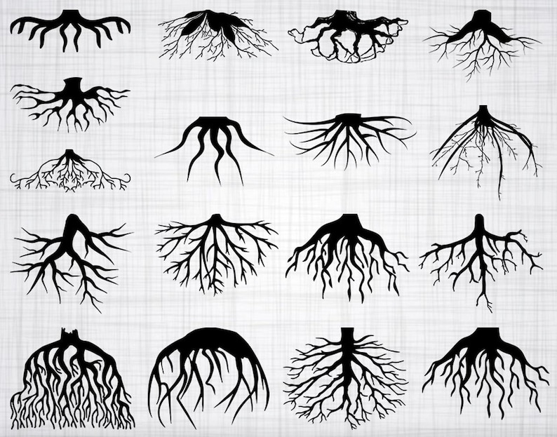 Roots Digital Download, Family Tree Root, Ground Your Roots, Rooted ...