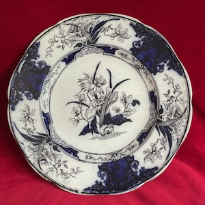 Könnte beinhalten: Ein weiß-blauer Zierteller mit floralem Design. Der Teller hat ein zentrales Blumenmotiv, das von einem blauen Rand und komplizierten Mustern umgeben ist. Der Rand hat einen gewellten Rand. Der Teller steht vor einem roten Hintergrund.