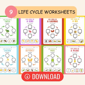 May include: Nine colorful worksheets with a life cycle theme. Each worksheet features a different animal or plant, including a turtle, bird, ladybug, bee, chicken, butterfly, frog, and plant. The worksheets have cut-out and paste activities.