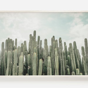 Cactus Forest in Mexico, Towering Cactus Print, Green Cactus Photo, Mexico Cactus Decor, Southwest Flora, Cactus Print, Mexico Landscape