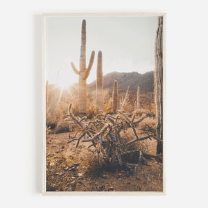 Tonto National Forest Scenery, Desert Landscape, Gold Canyon Photography, Arizona Wall Art, Boho Bedroom Print, Southwest Desert Home Decor