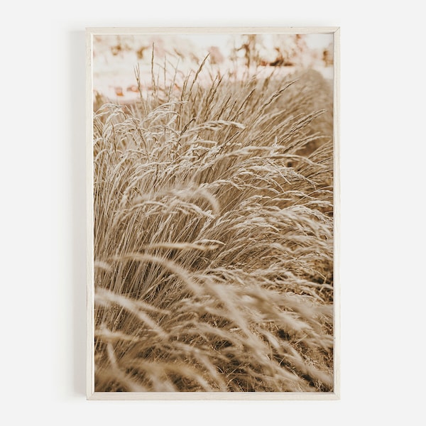 Beige Wheat Photo, Farmhouse Decor, Wheat Printable Art, Neutral Wall Art, Farmhouse Wheat Print, Harvest Digital Art, Downloadable Print