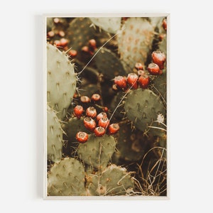 Feigenkaktus, grüner und rosa Kaktus Foto, einheimische Flora, Arizona Pflanzenfoto, Feigenkaktus Wandkunst, fruchtender Kaktus Poster