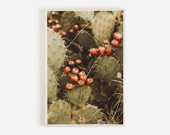 Prickly Pear Cactus, Green and Pink Cactus Photo, Native Flora, Arizona Plant Photo, Prickly Pear Wall Art, Fruiting Cactus Poster