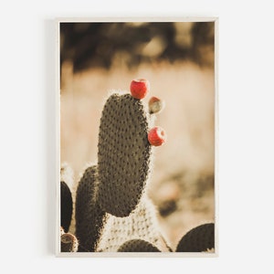 Pink Cactus Fruit, Prickly Pear Photo, Arizona Cactus, Cactus Fruit Photo, Prickly Pear Cactus Printable, Boho Cactus Print, Bohemian Decor